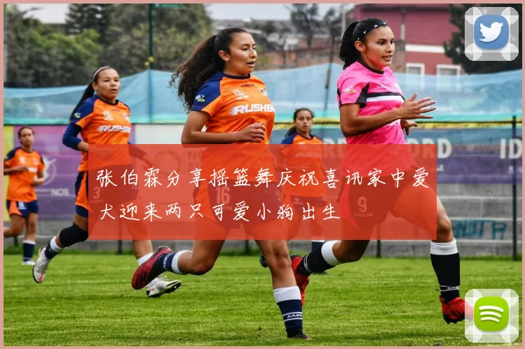 张伯霖分享摇篮舞庆祝喜讯家中爱犬迎来两只可爱小狗出生