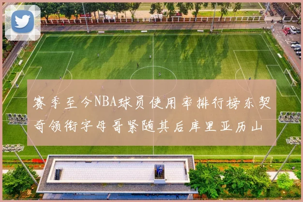 赛季至今NBA球员使用率排行榜东契奇领衔字母哥紧随其后库里亚历山大表现抢眼